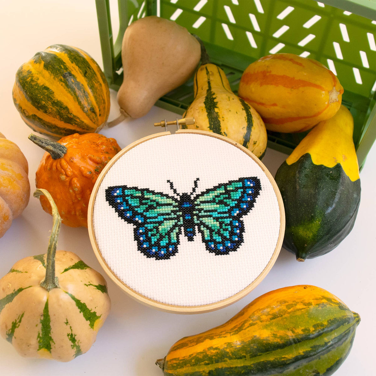 Butterfly cross stitch hoop styled with autumn squash and gourds
